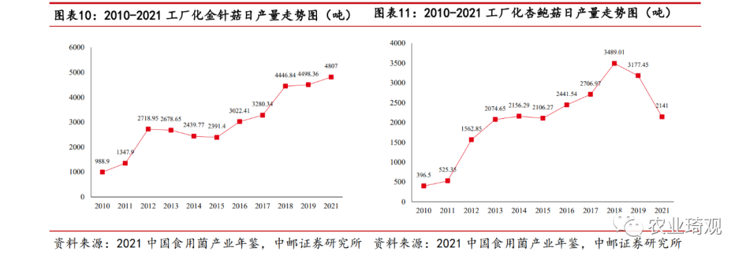 中邮·农林牧渔|深度报告|雪榕生物:金针菇价格淡季不淡，行业龙头困境突围