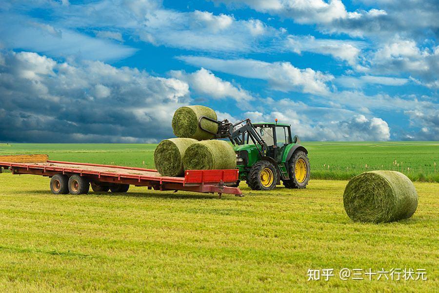 现代农业技术专业 拥抱科技，绘就农业农村新蓝图
